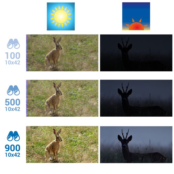 Binóculos de Caça 100 10x42 Estanques Preto