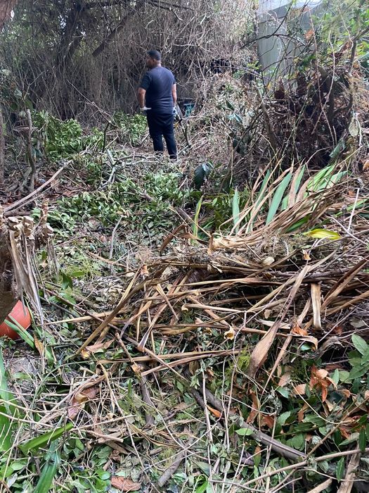 Limpeza de terreno