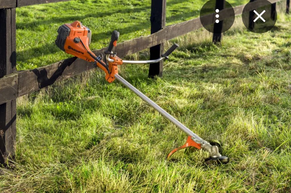 Limpeza de quintais. Jardinagem. Corte e poda de arvores