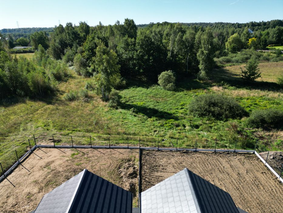 Bliźniak pod lasem Przyjaźń