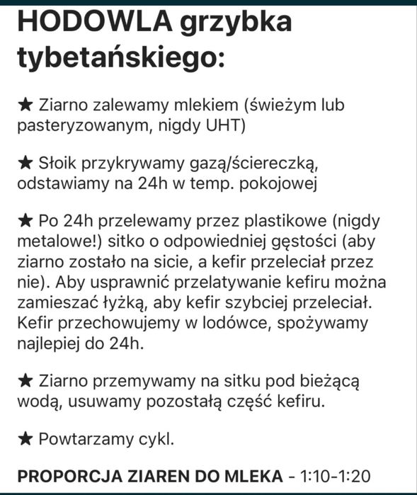 Grzybek tybetański