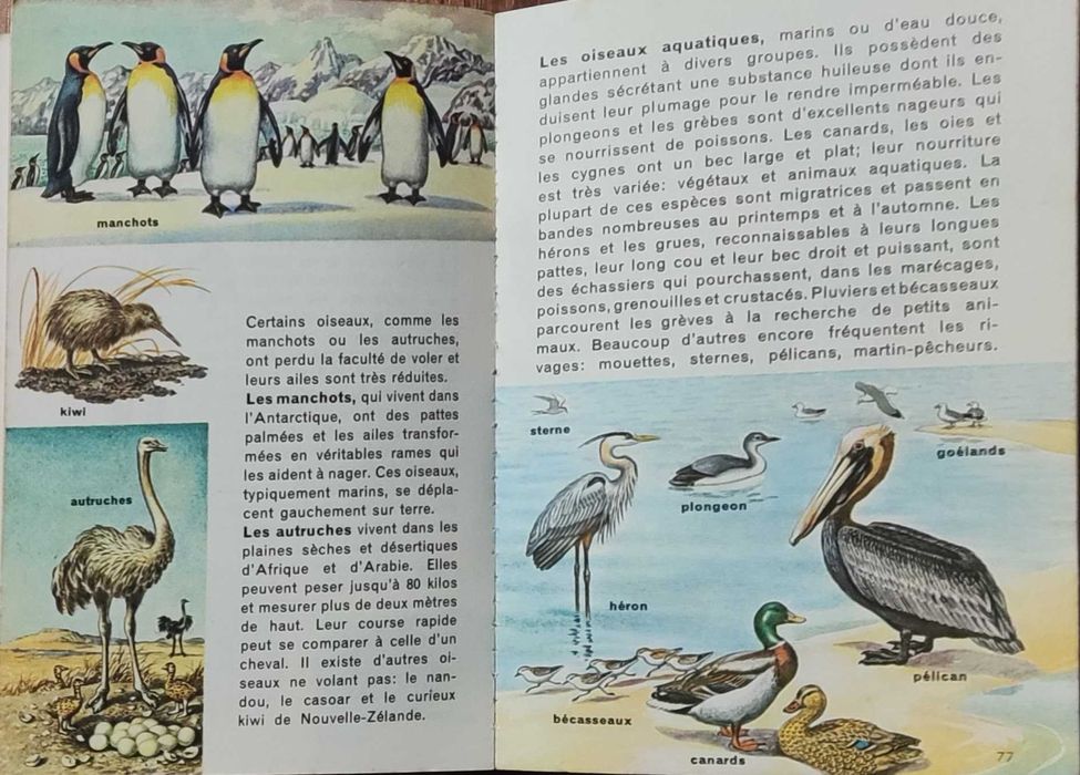 Livro "Règne Animal" R. W. Burnett, H. I. Fischer e H. S. Zim