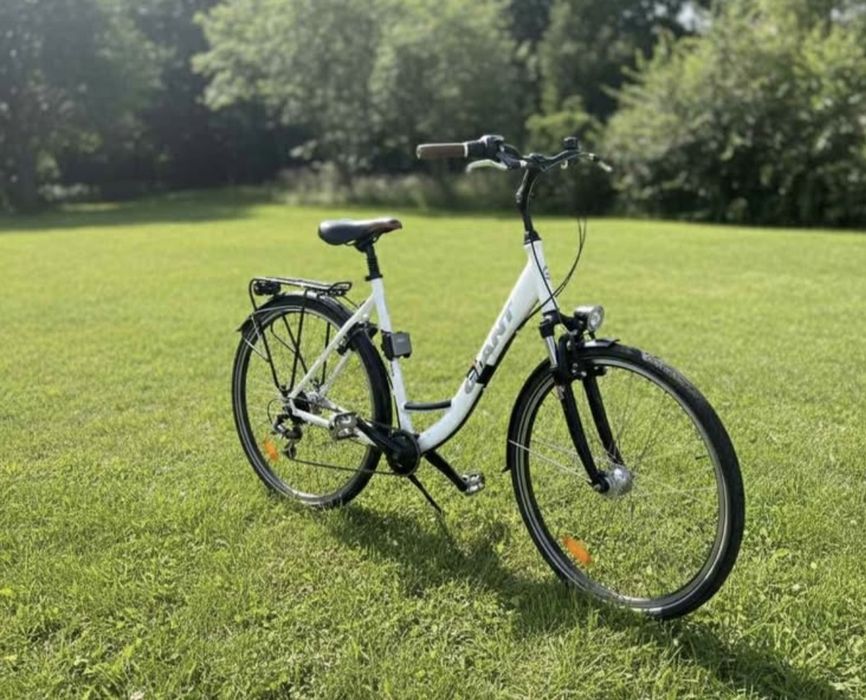 Rower Giant Tourer CS