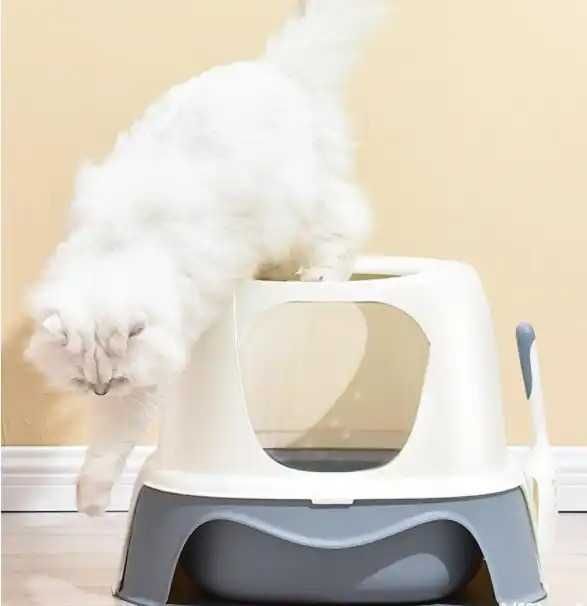 NOVO - Caixa de Areia, WC Gato com entrada frontal e saída no topo