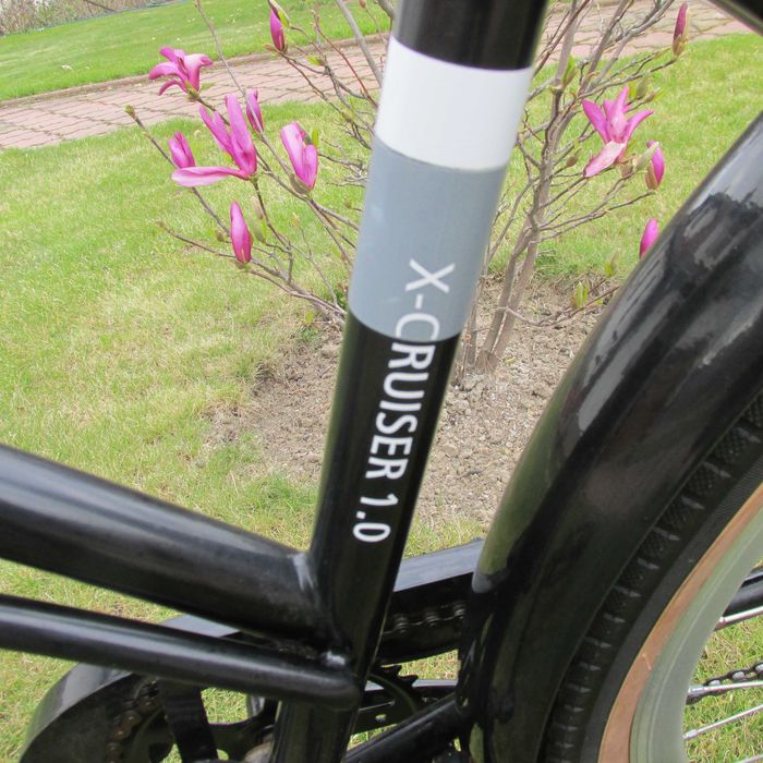 Rower miejski , damka.