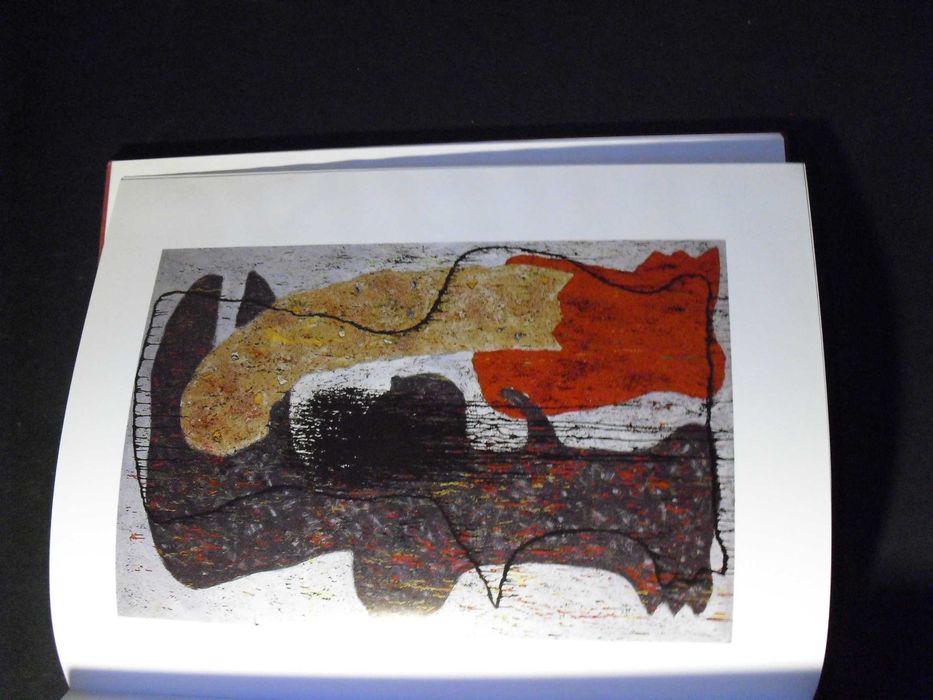 Correia (Ana Arez Brito,Coordenação);José de Guimarães