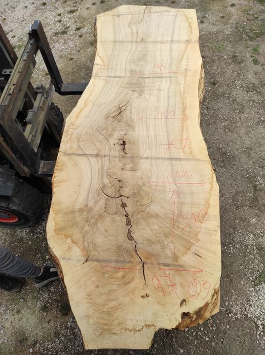 Blaty jesionowe, bale, monolit, po suszarni