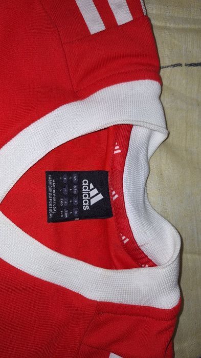 Camisola oficial do Sport Lisboa e Bemfica