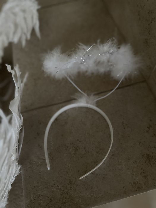 Asas, tutu e arco branco