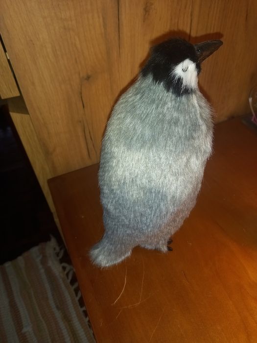 Pinguim de plástico com pêlo