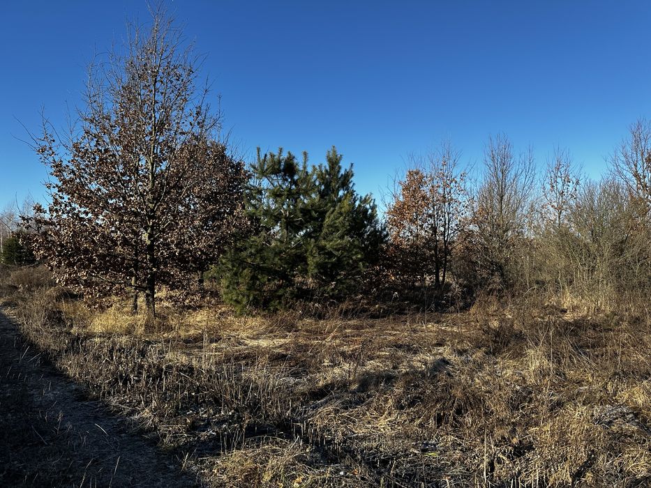 Ділянка в Кончі Заспі. Козин (Участок в Конче-Заспе)