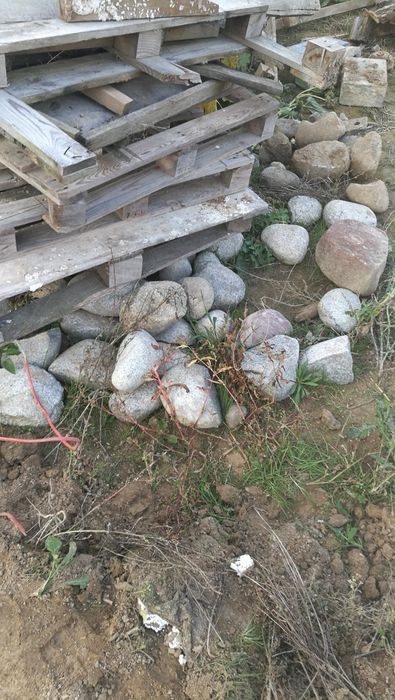 Kamienie polne potokowe duże otoczaki ozdobne ogrodowe głazy narzutowe