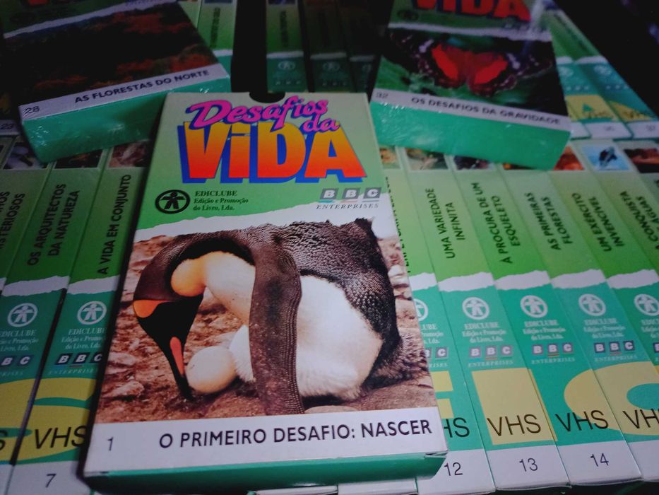 Coleção completa "Vida Selvagem"