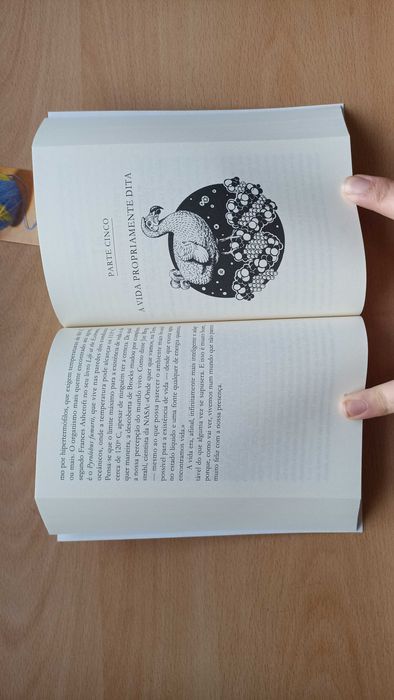 Livro "Uma Breve História de Quase Tudo" de Bill Bryson NOVO