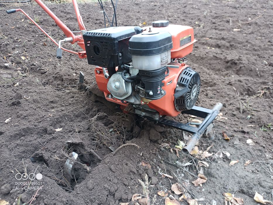 Зрізка аварійних дерев