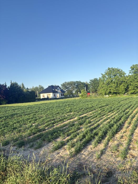 Działka budowlana Słupno ul.Źródlana - Widok 3