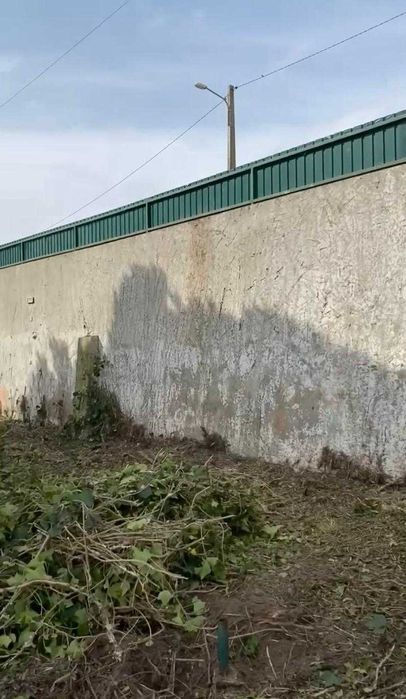 Jardinagem - Limpeza