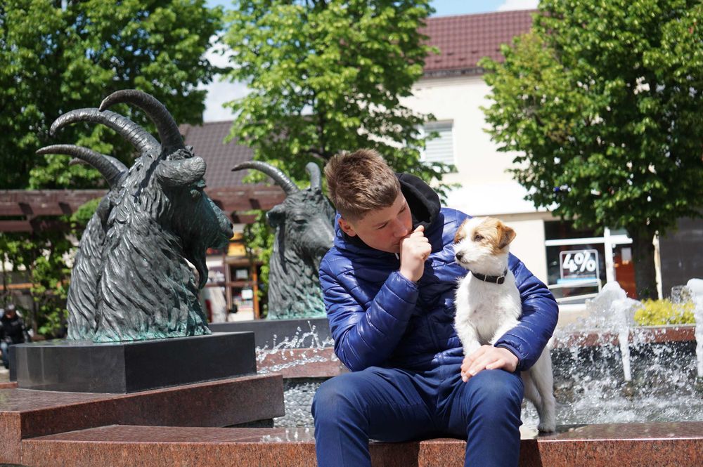 Jack Russell Terrier ZKwP FCI piesek