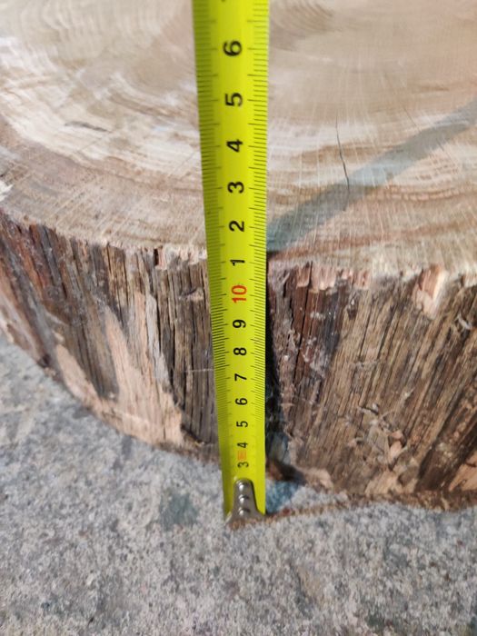 Dębowy Krażek sprzedam