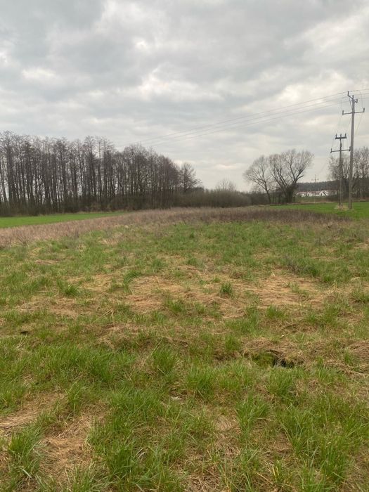 2 * Działka budowlana 15,5 a Miłkowice