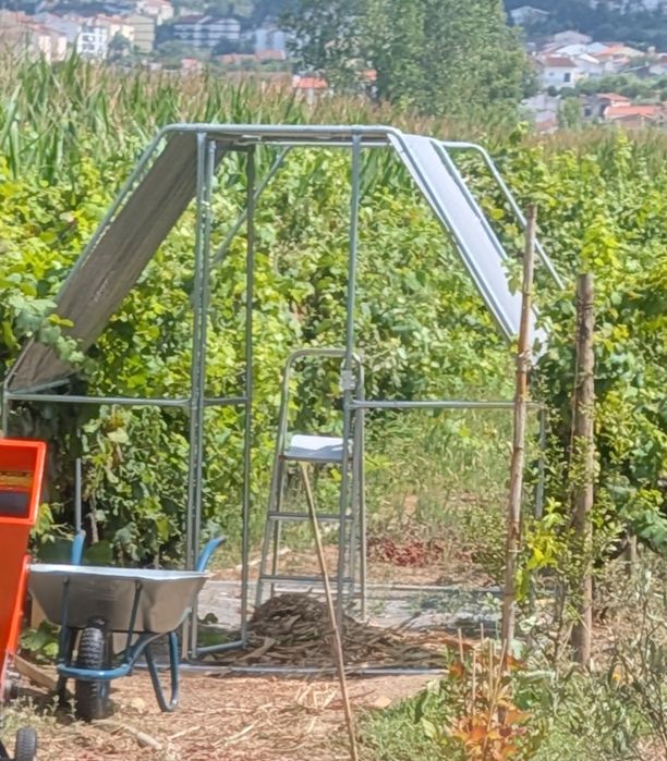 Galinheiro 4x2 m