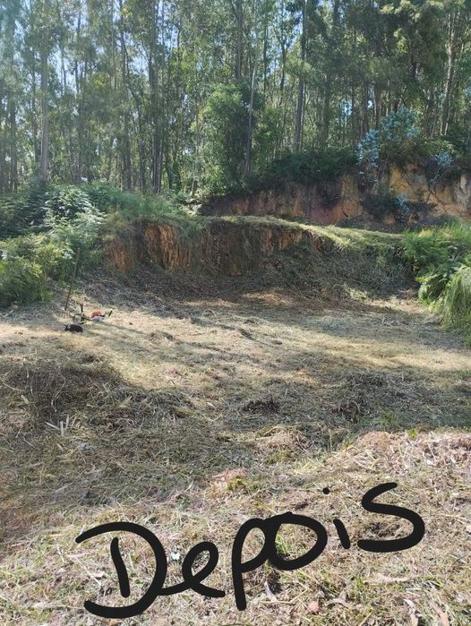 Serviços Jardinagem e Limpeza de Terrenos - José Rocha