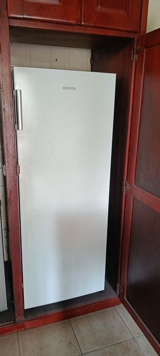 Arca congeladora