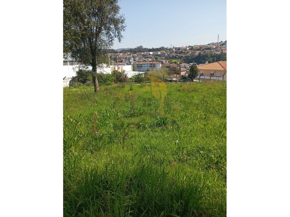 Terreno com 2968m² - Vila de Cucujães — Vila de Cucujães, Aveiro