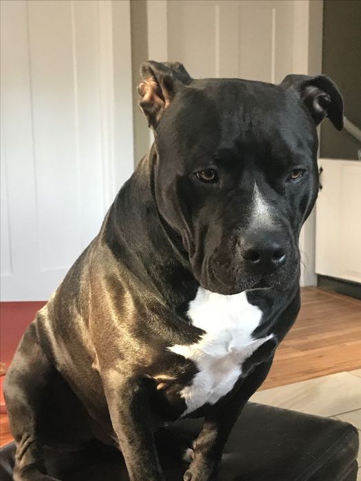 Терміново малята АСТ