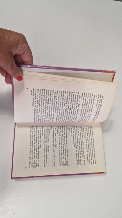 Livro O hóspede de Job, de José Cardoso Pires