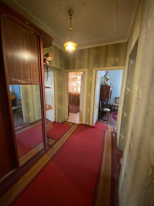 Великий будинок в Яссках з бізнесом!
