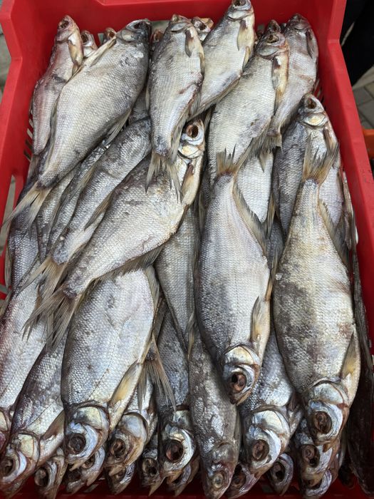 Вялена риба | риба холодного копчення | вʼялена риба | сушена риба