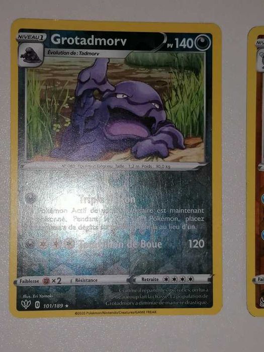 10 Cartas Pokémon Reverse Holo (Francês)