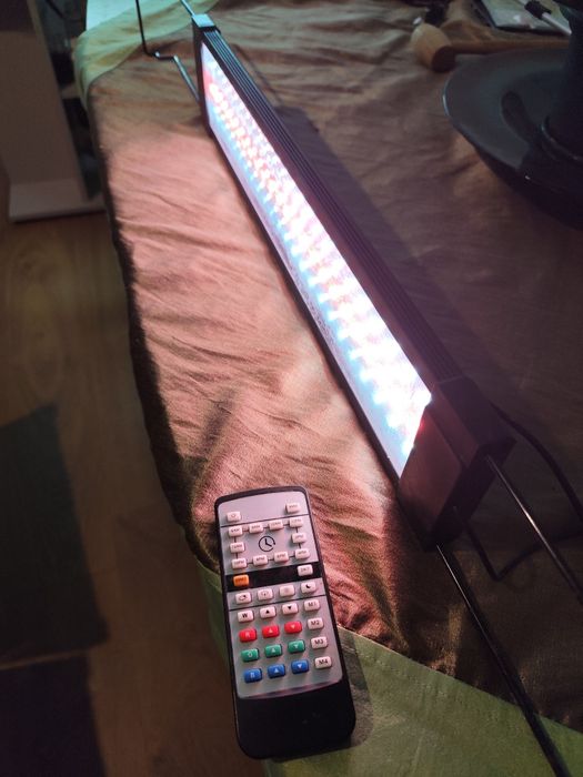 Iluminação Aquário