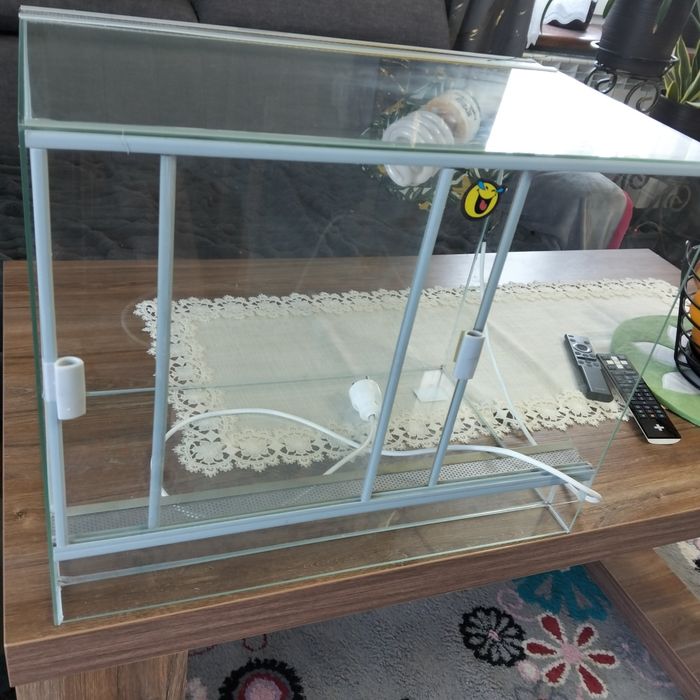 Terrarium z lampą UV