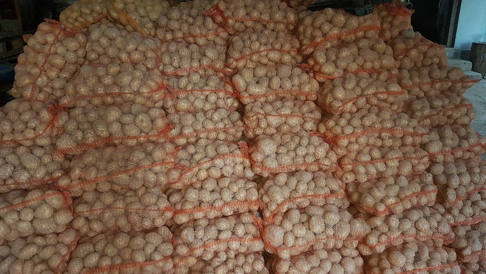 Ziemniaki jadalne Queen Anne, Satina, Esmee (czerwone) 15kg woreczki