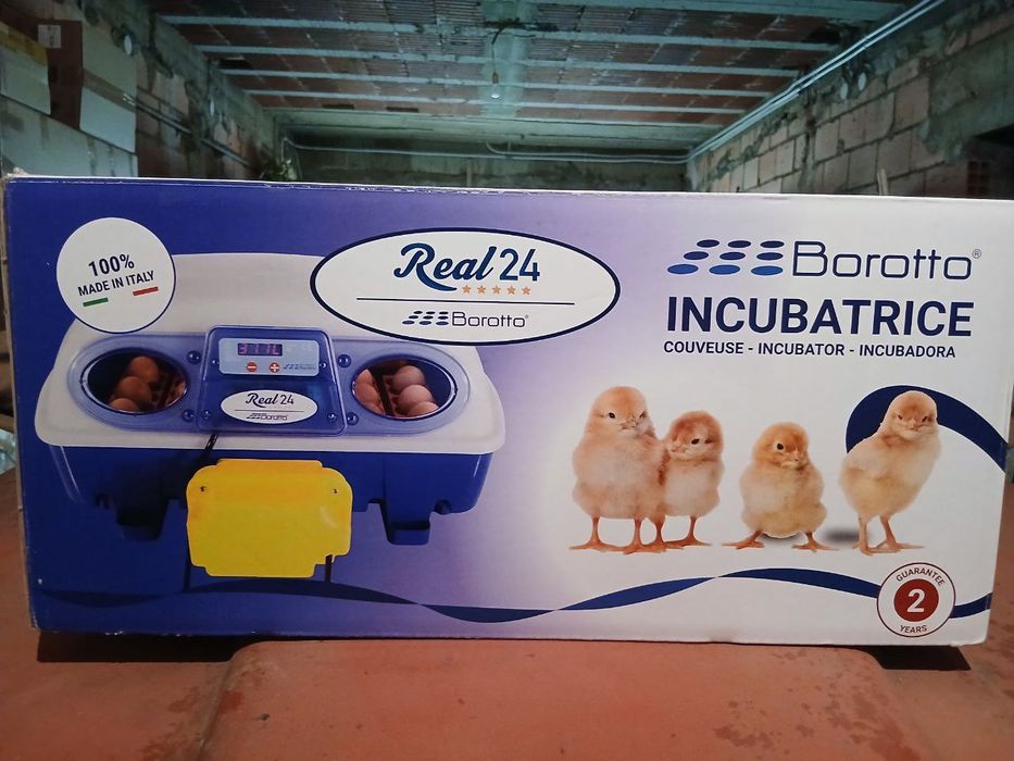 Chocadeira Borotto