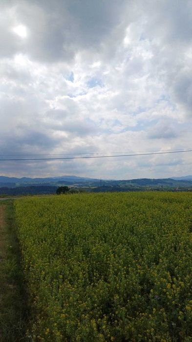 Widokowa działka w górach z widokiem na Kotlinę Sadecką oraz na Tatry - Widok 2