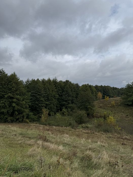 Продам будинок (15хв Сквира)у с Великі Єрчики 12 сот. двір+ 25 с город