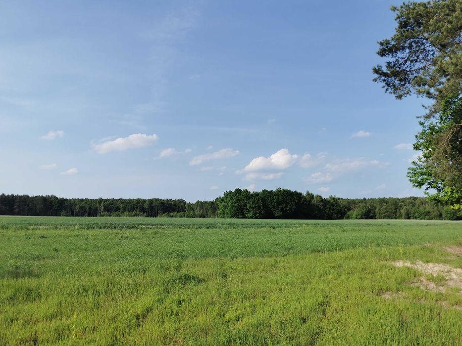 Działka rekreacyjno-budowlana