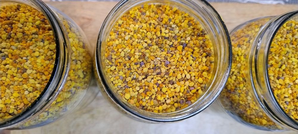 Pyłek pszczeli 0,5 kg 2025r