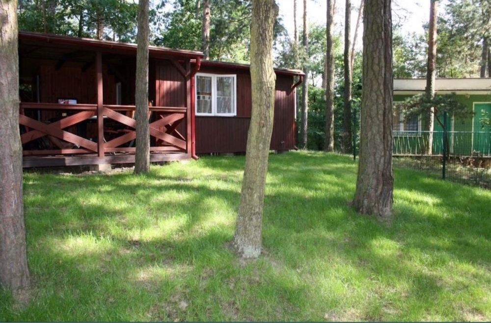 Domek letniskowy Turawa -jezioro duże, 50m plaża, noclegi