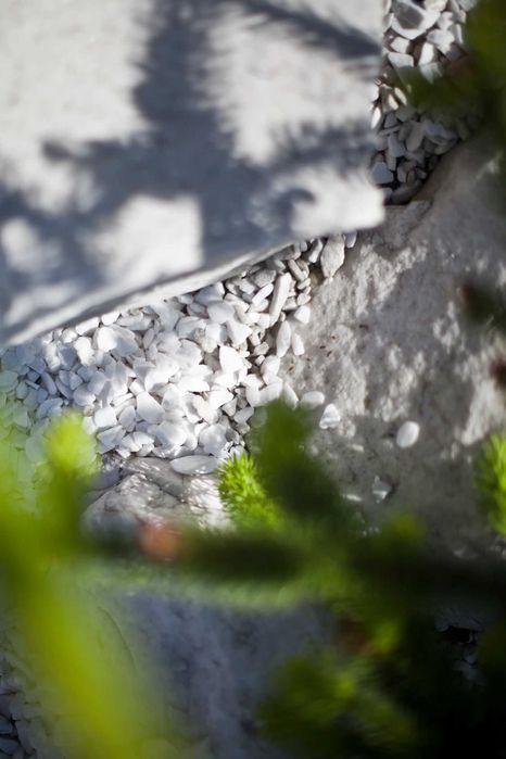 Grys white Angel Śnieżna biel