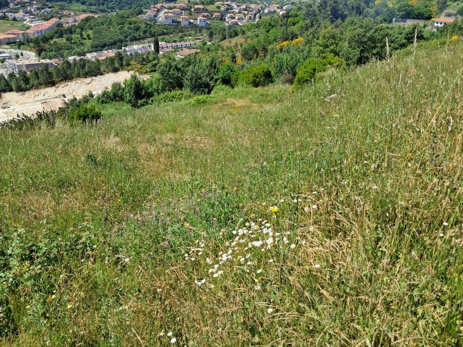 Terreno Serra das Meadas - Lamego
