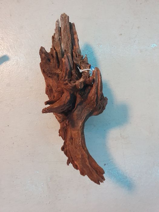 Korzenie do akwarium Dark wood Kraków (Swoszowice)