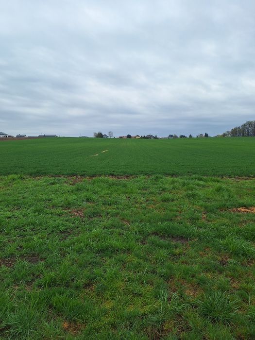 Działka Ziemia rolna Siedlisko - Widok 2