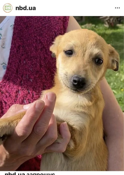 У добрі ручки !