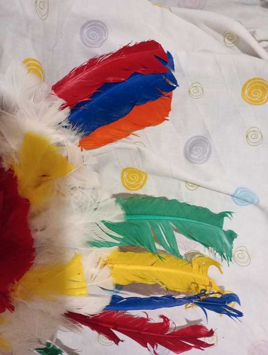 Lote de índio para carnaval