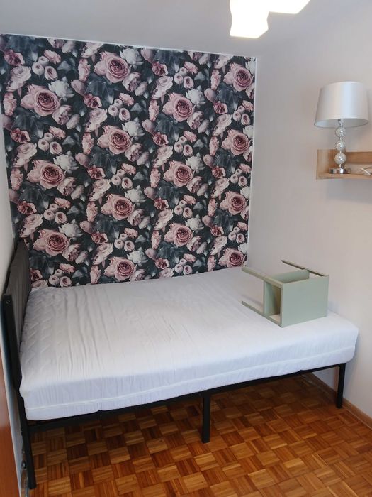 Kawalerka do wynajęcia