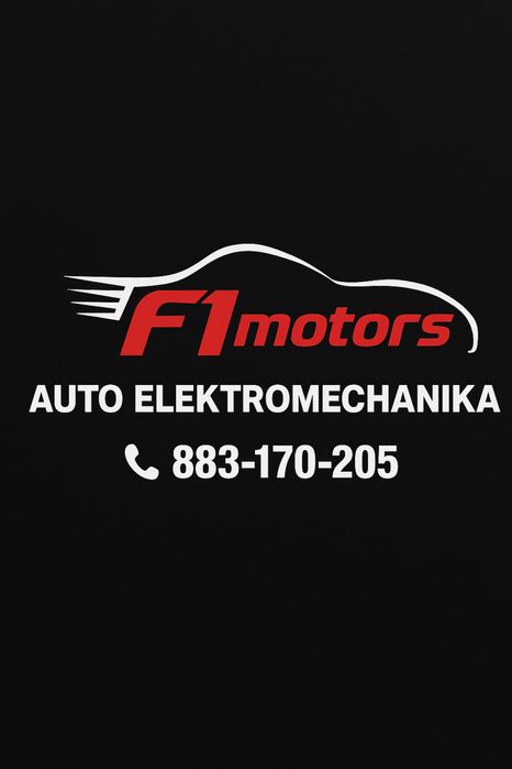 DPF EGR ADDBLUE Naprawa usuwanie Malbork